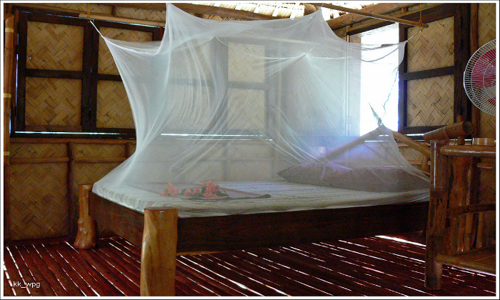 Malaria prevention - nets and bug zappers